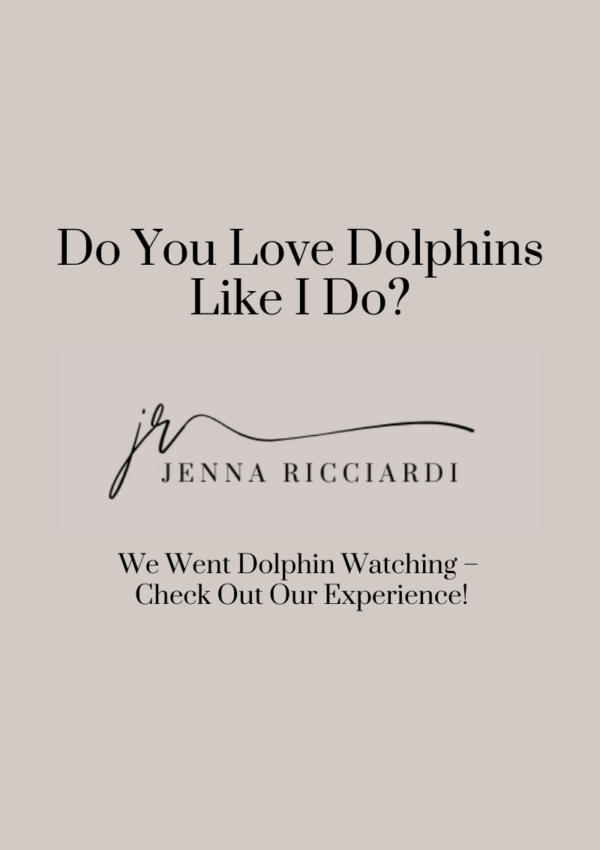 Do You Love Dolphins Like I Do? We Went Dolphin Watching – Check Out Our Experience!