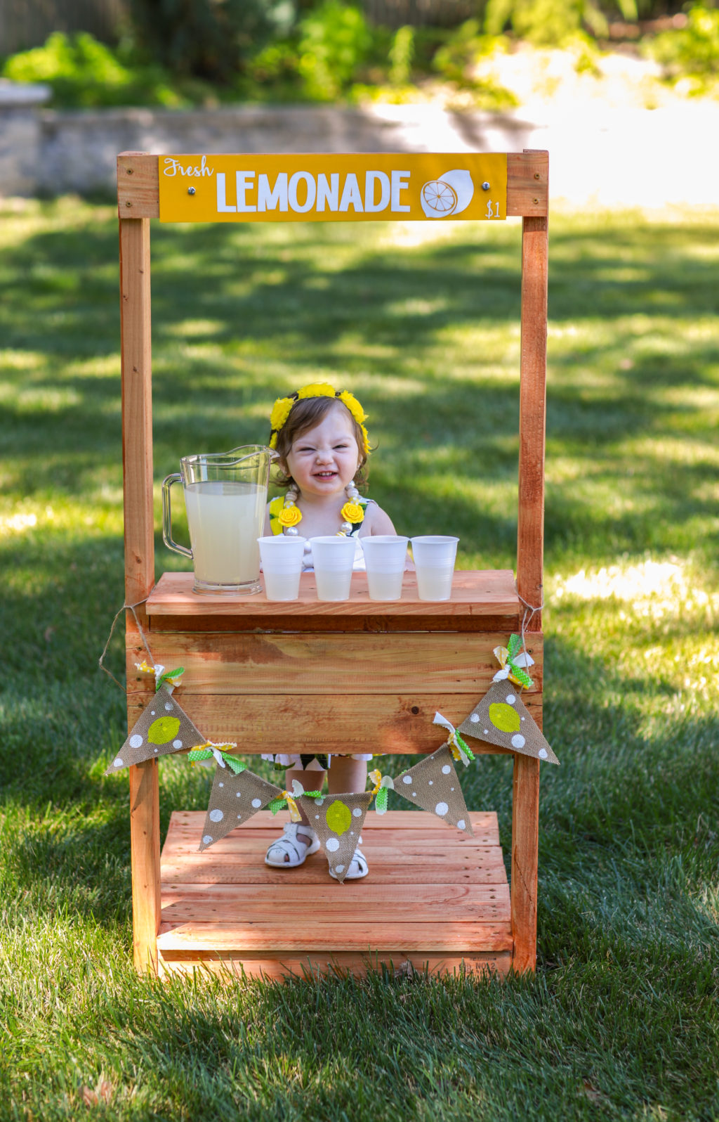 Adorable Lemonade Stand Photoshoot Check Out the Photos