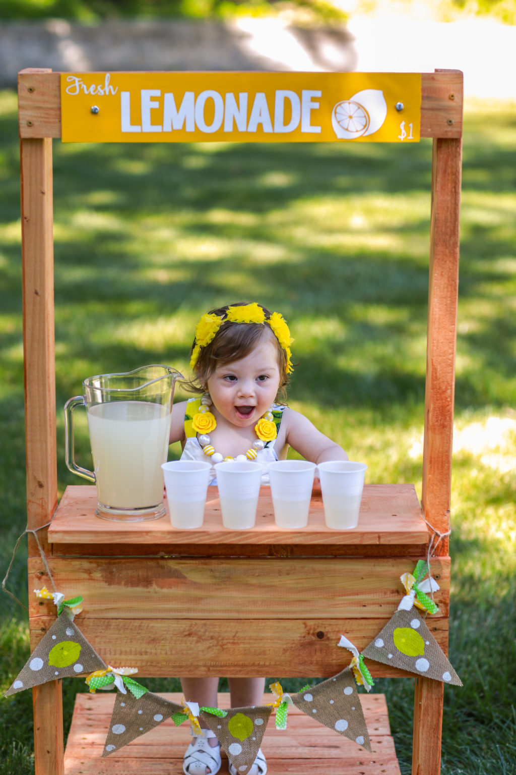 Adorable Lemonade Stand Photoshoot Check Out the Photos