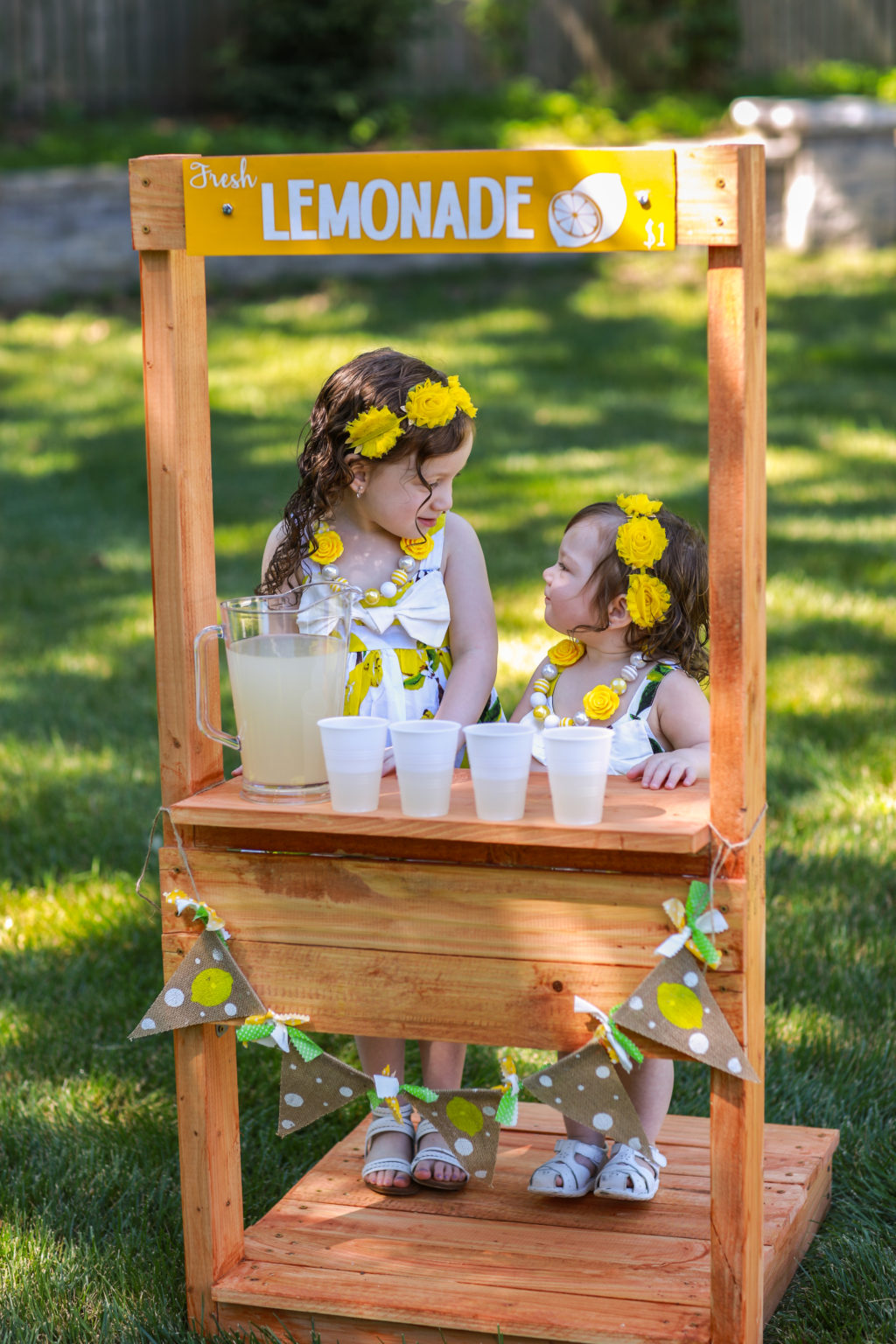 Adorable Lemonade Stand Photoshoot Check Out the Photos